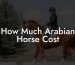 How Much Arabian Horse Cost