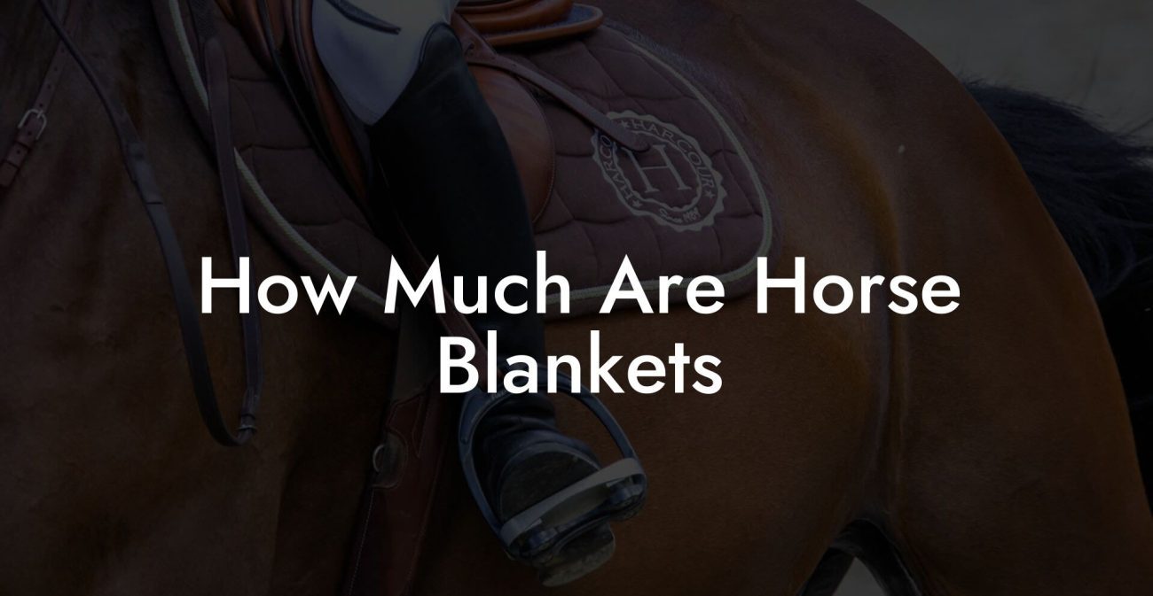 How Much Are Horse Blankets