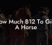 How Much B12 To Give A Horse