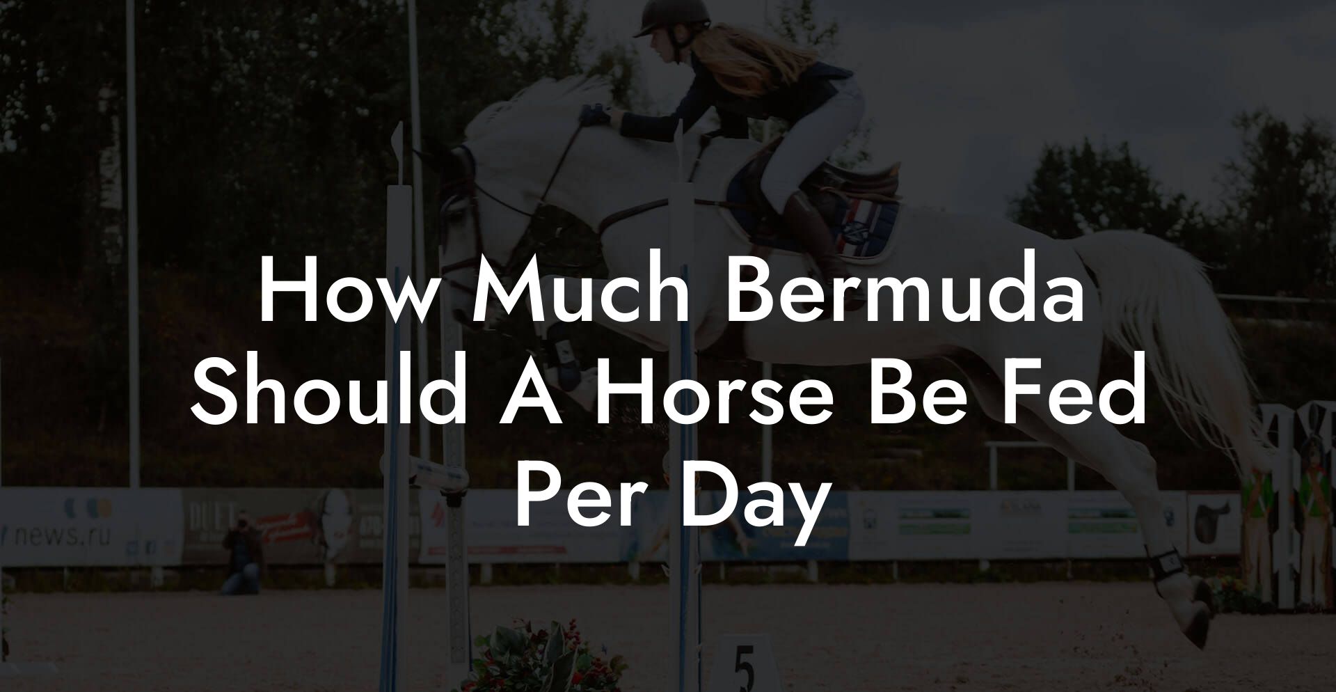 How Much Bermuda Should A Horse Be Fed Per Day
