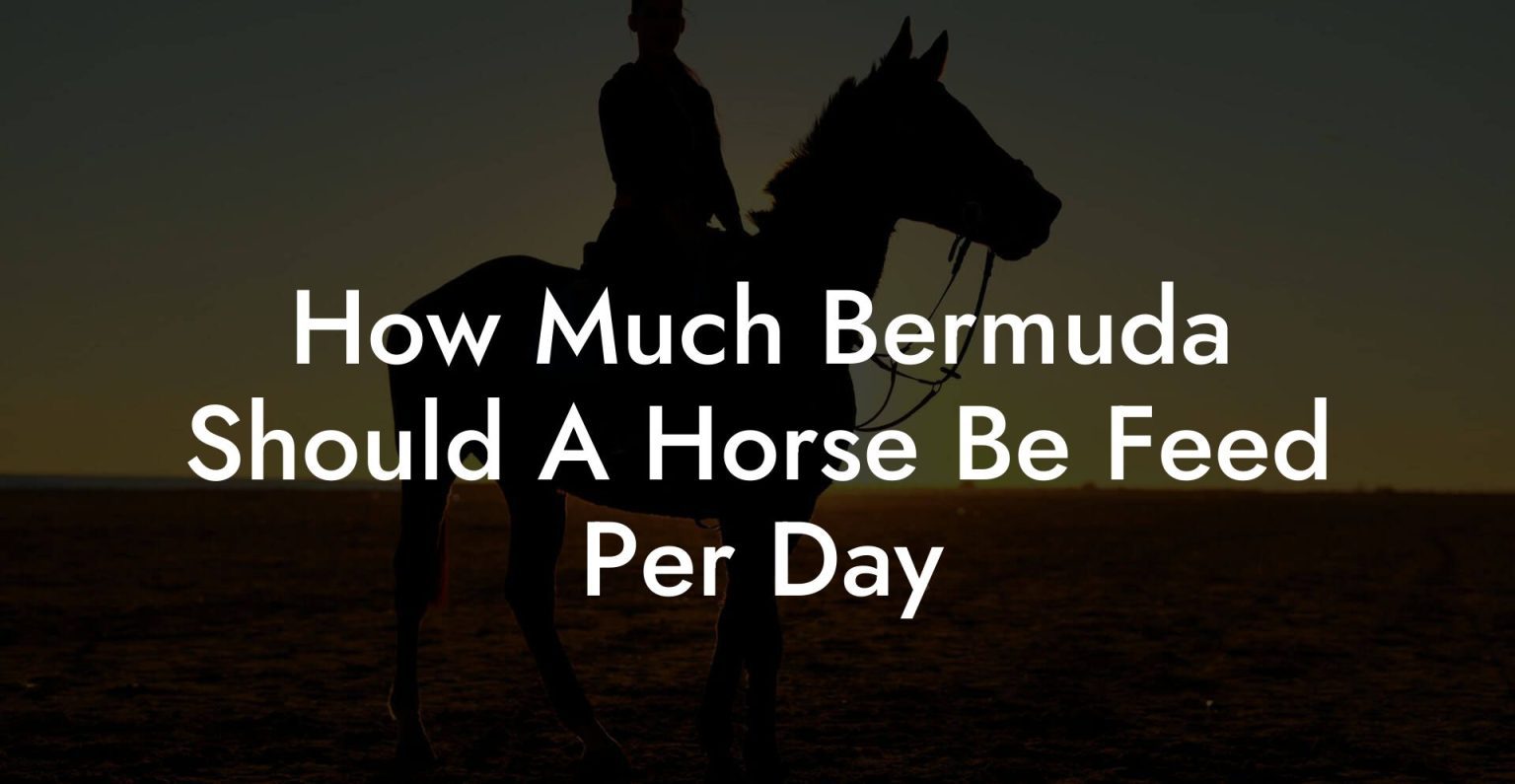 How Much Bermuda Should A Horse Be Feed Per Day How To Own a Horse