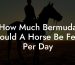 How Much Bermuda Should A Horse Be Feed Per Day