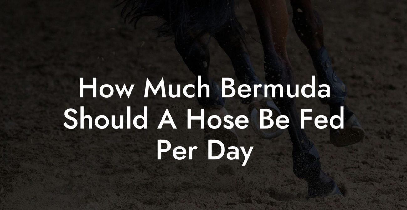 How Much Bermuda Should A Hose Be Fed Per Day