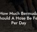 How Much Bermuda Should A Hose Be Fed Per Day