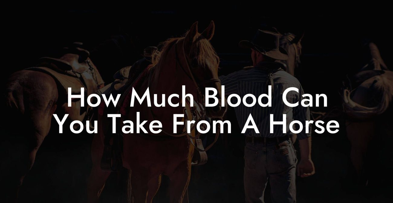 How Much Blood Can You Take From A Horse