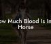 How Much Blood Is In A Horse