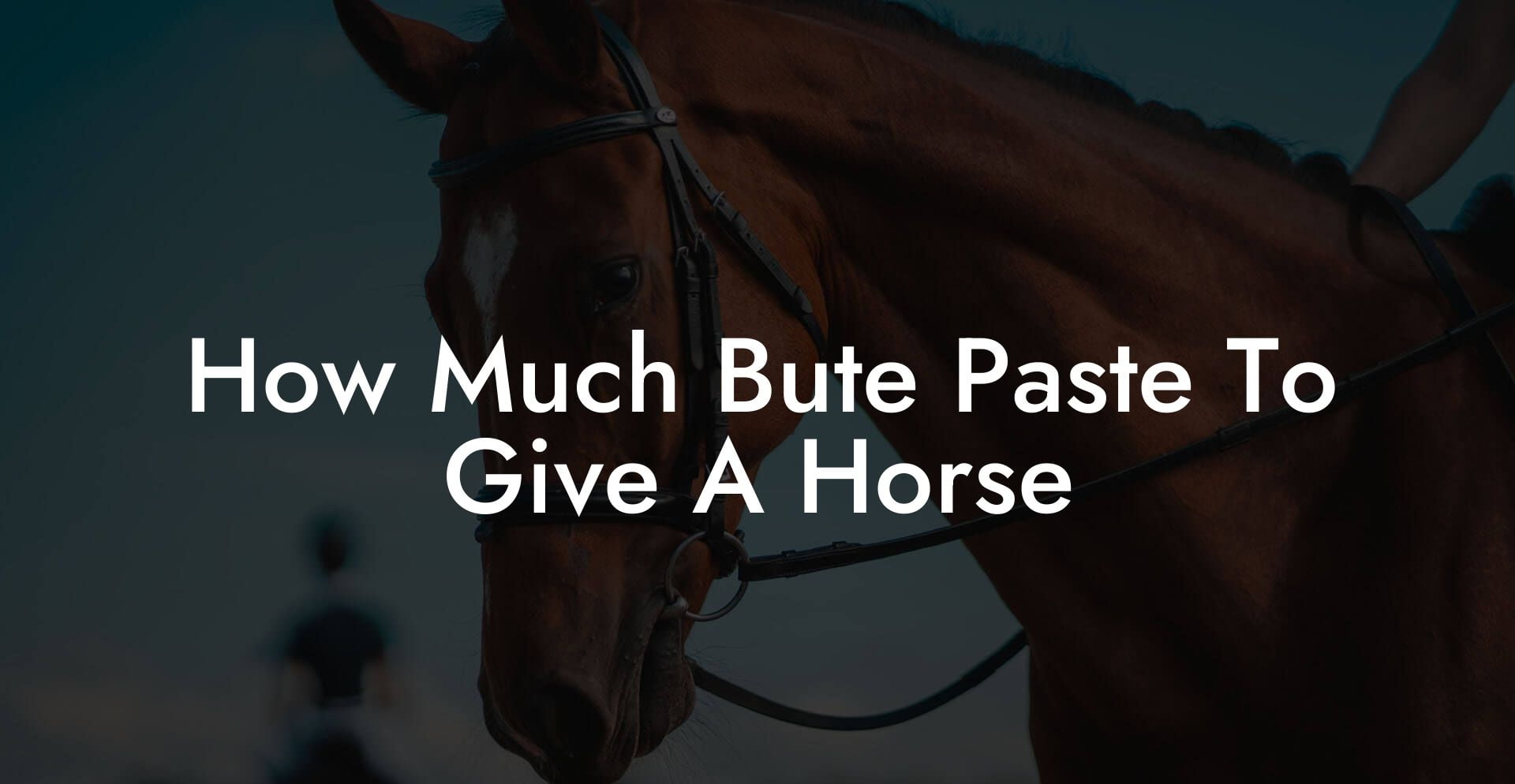 How Much Bute Paste To Give A Horse