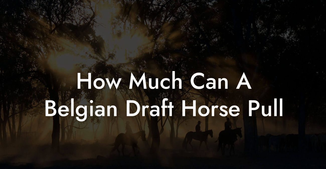 How Much Can A Belgian Draft Horse Pull