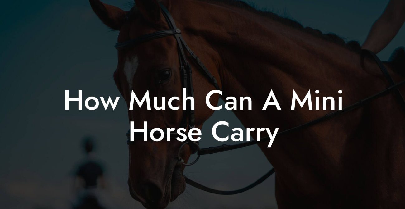 How Much Can A Mini Horse Carry