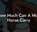 How Much Can A Mini Horse Carry