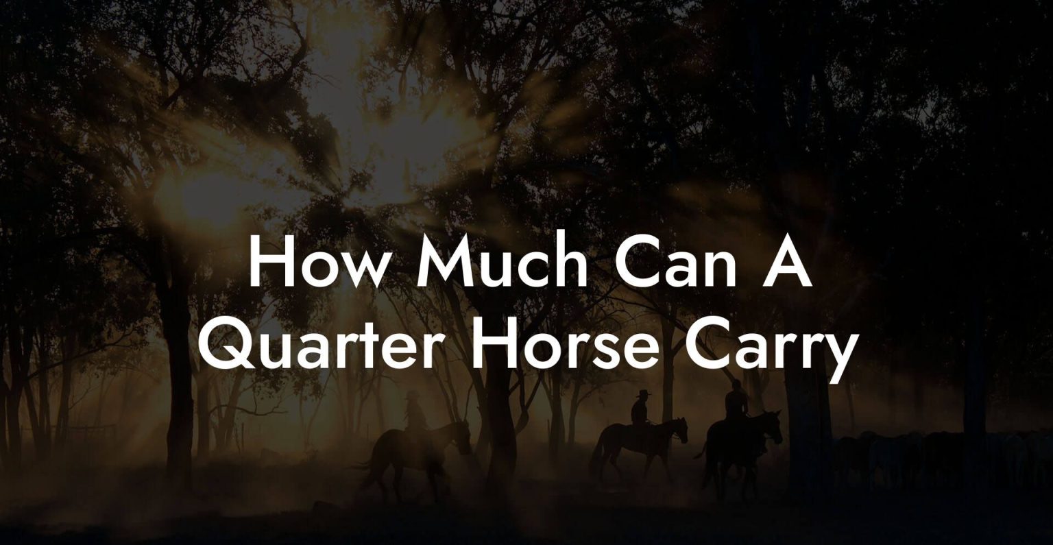 How Much Can A Quarter Horse Carry How To Own a Horse