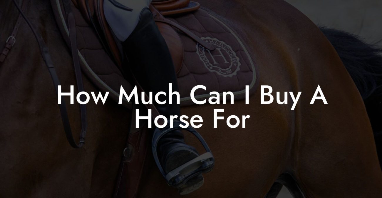 How Much Can I Buy A Horse For