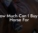 How Much Can I Buy A Horse For