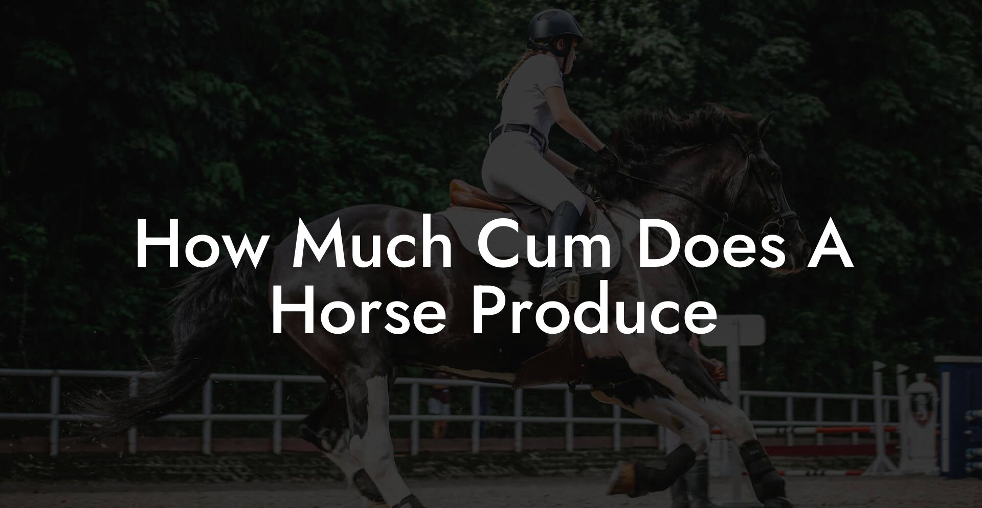 How Much Cum Does A Horse Produce