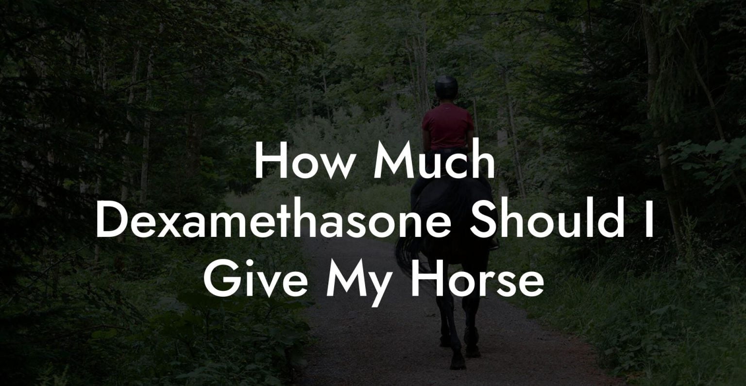 How Much Dexamethasone Should I Give My Horse How To Own a Horse