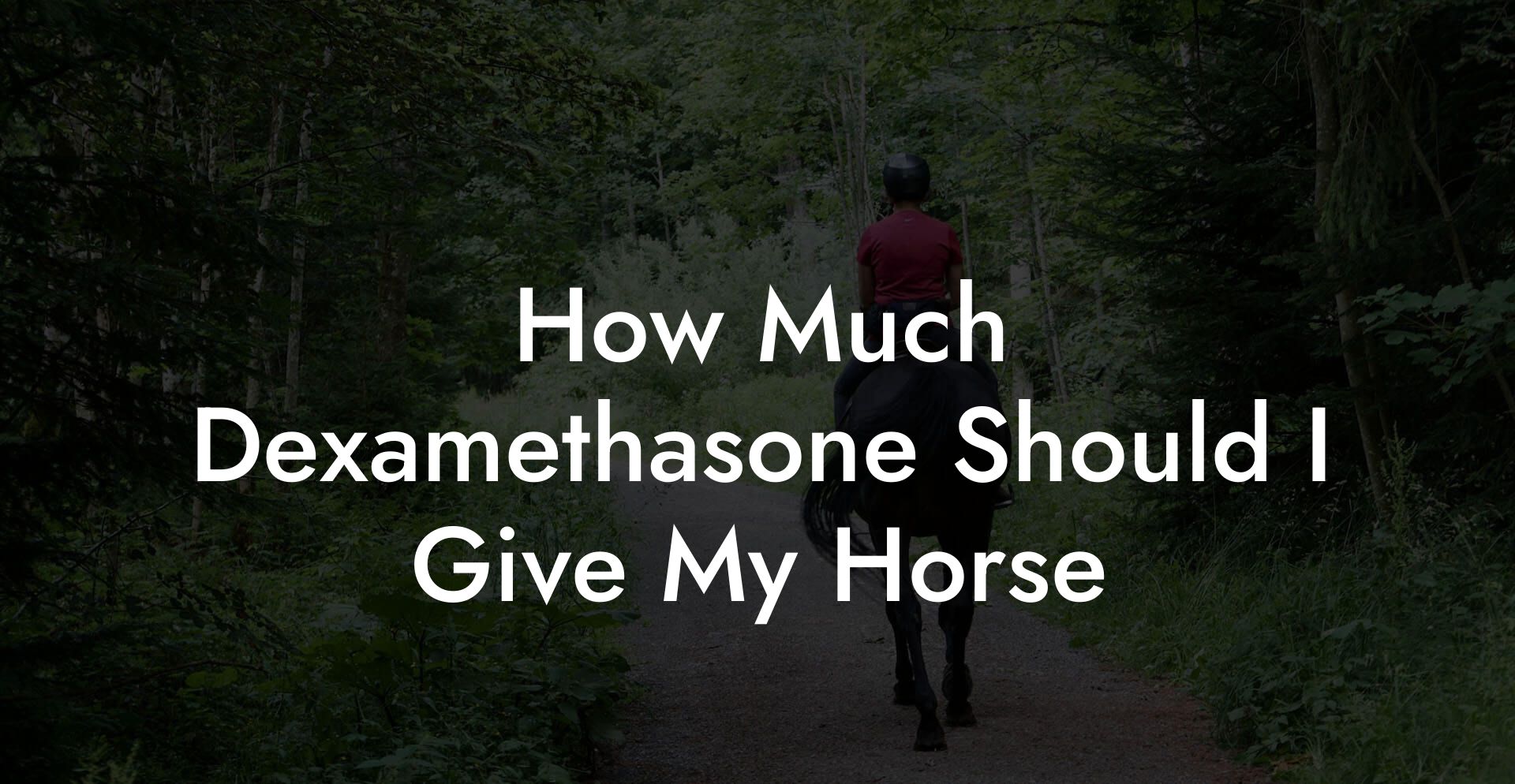 How Much Dexamethasone Should I Give My Horse