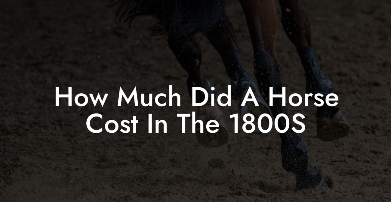 how-much-did-a-horse-cost-in-the-1800s-how-to-own-a-horse