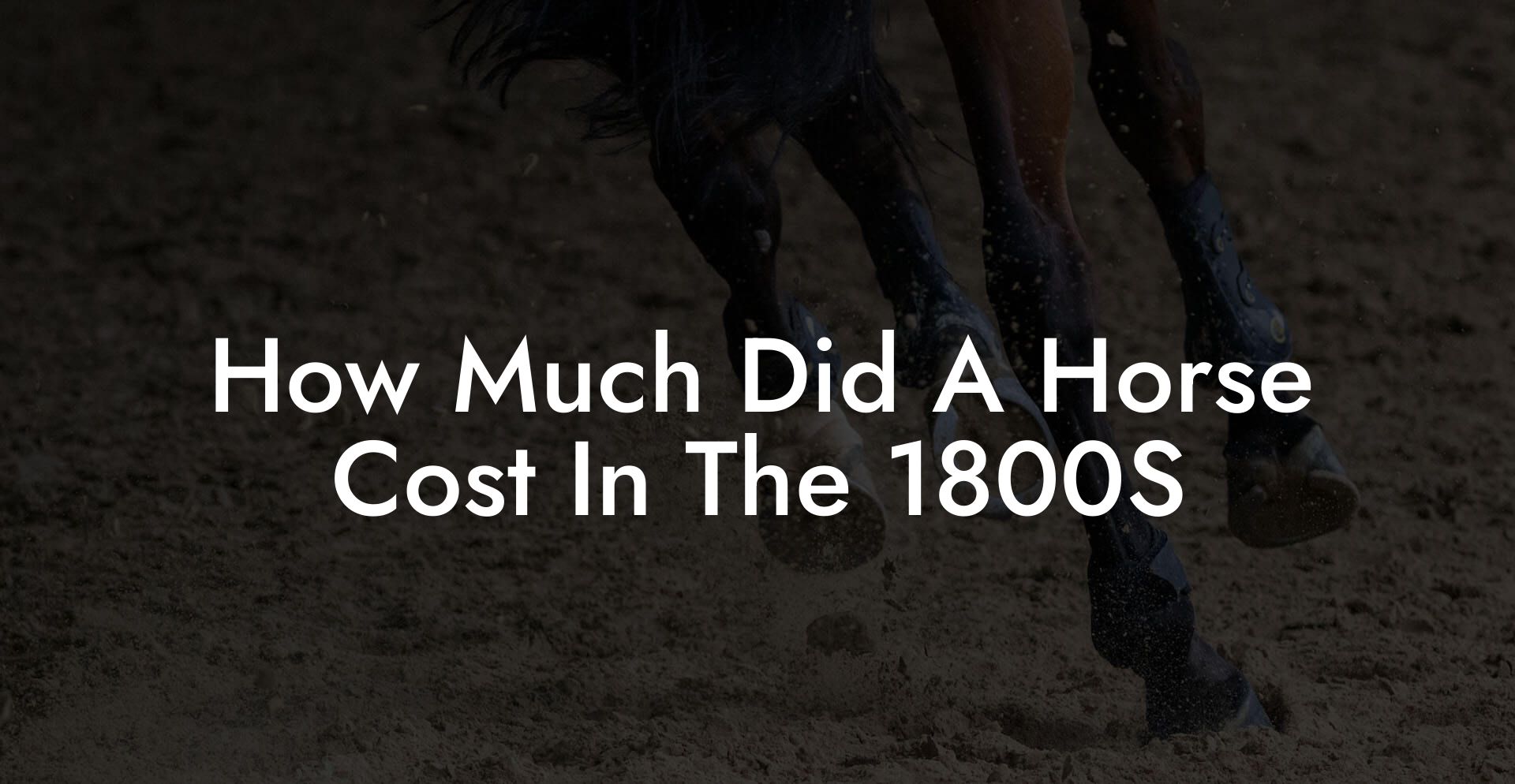 How Much Did A Horse Cost In The 1800S
