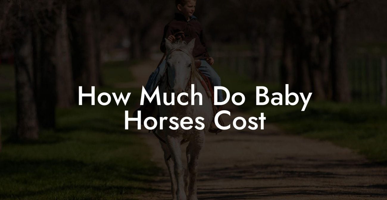 How Much Do Baby Horses Cost