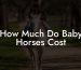 How Much Do Baby Horses Cost