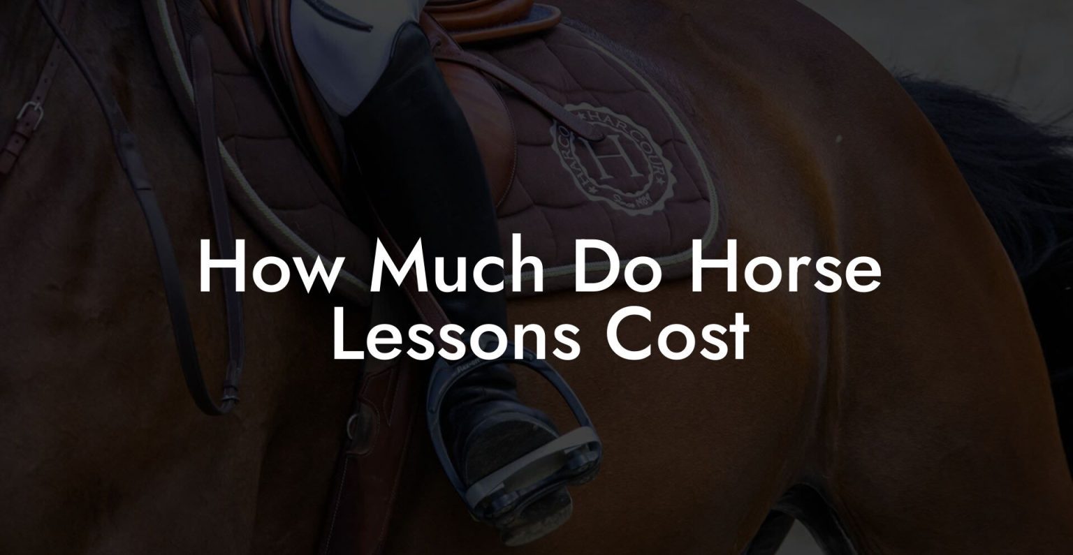 How Much Do Horse Lessons Cost How To Own a Horse
