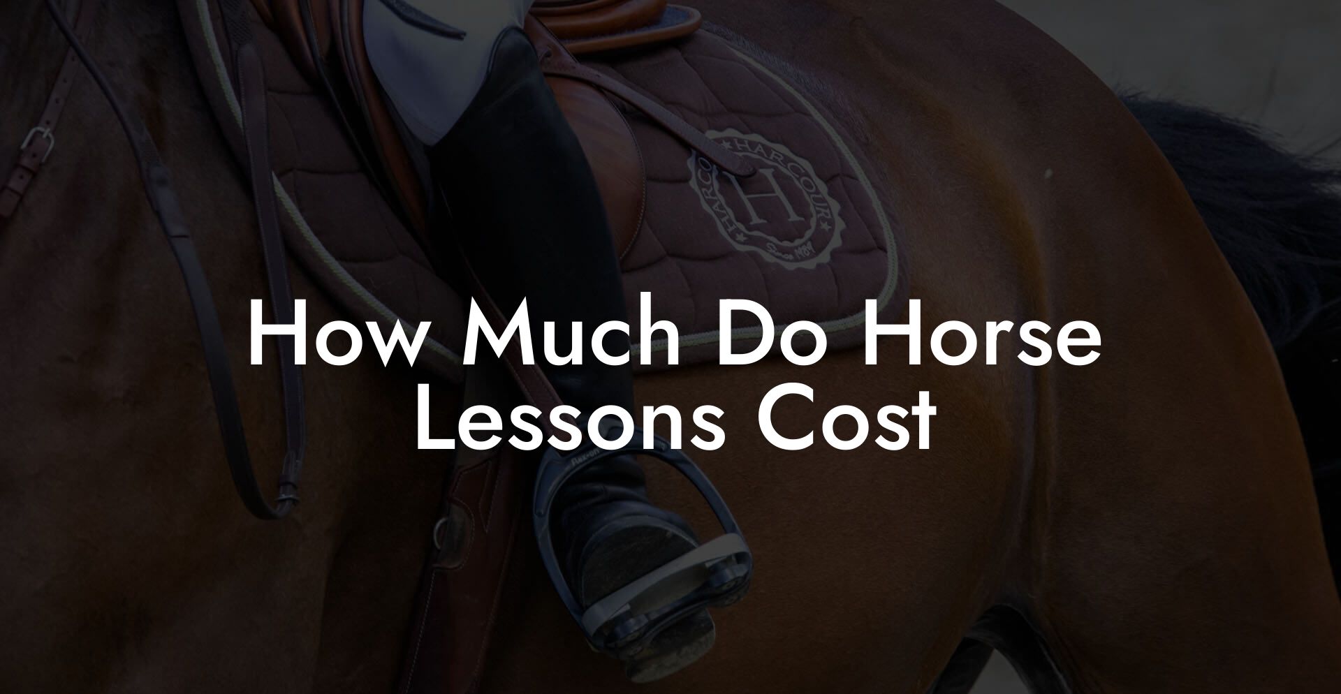 How Much Do Horse Lessons Cost