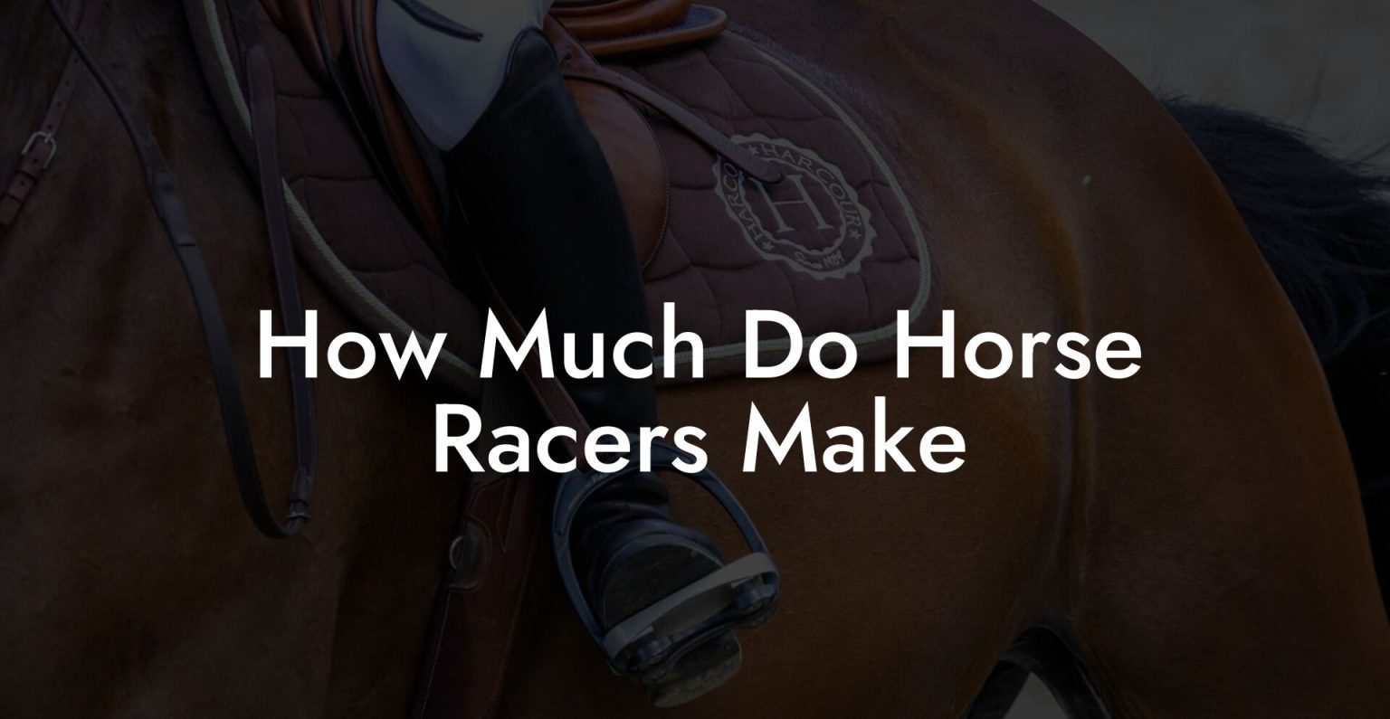 How Much Do Horse Racers Make How To Own a Horse