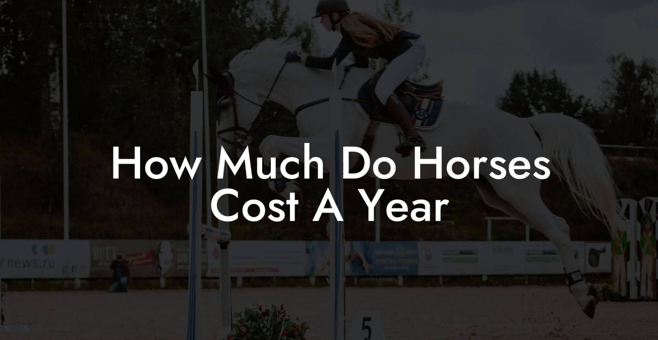 How Much Do Horses Cost A Year