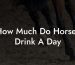 How Much Do Horses Drink A Day