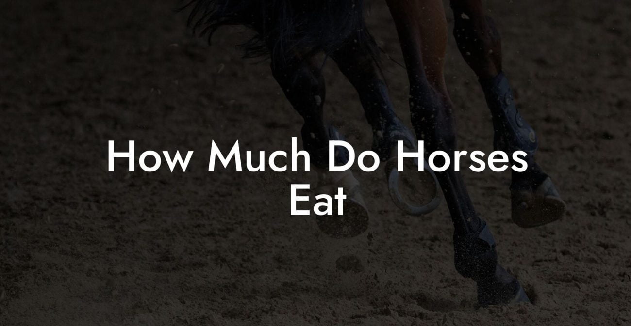 How Much Do Horses Eat