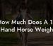 How Much Does A 16 Hand Horse Weigh