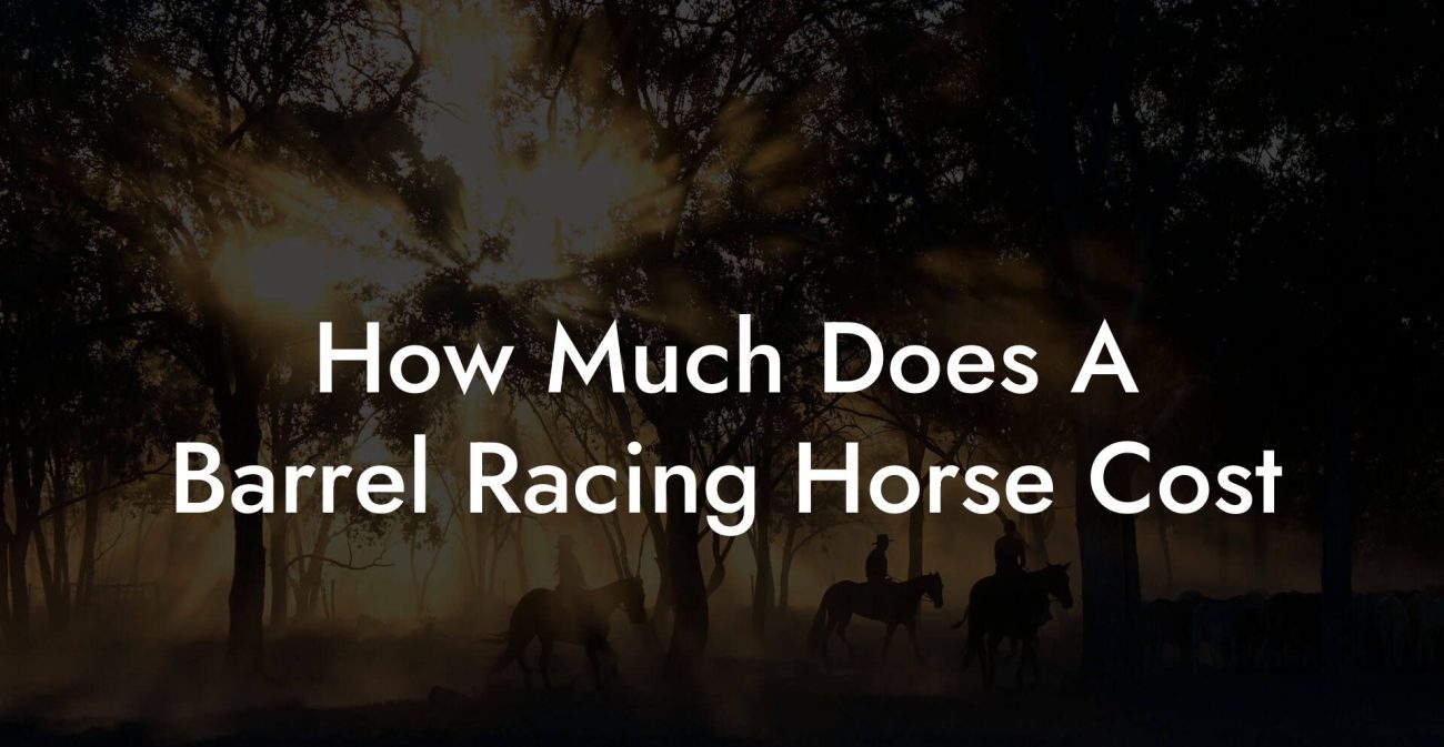 How Much Does A Barrel Racing Horse Cost