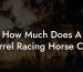 How Much Does A Barrel Racing Horse Cost