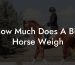 How Much Does A Big Horse Weigh
