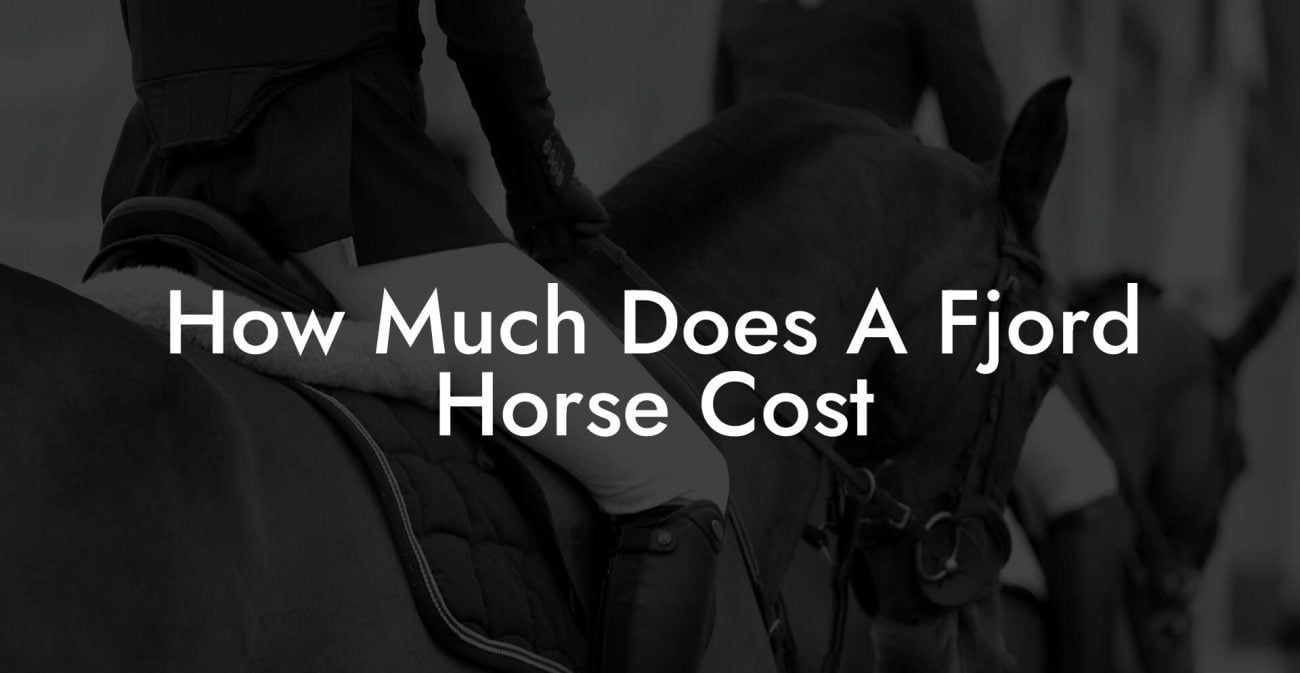How Much Does A Fjord Horse Cost