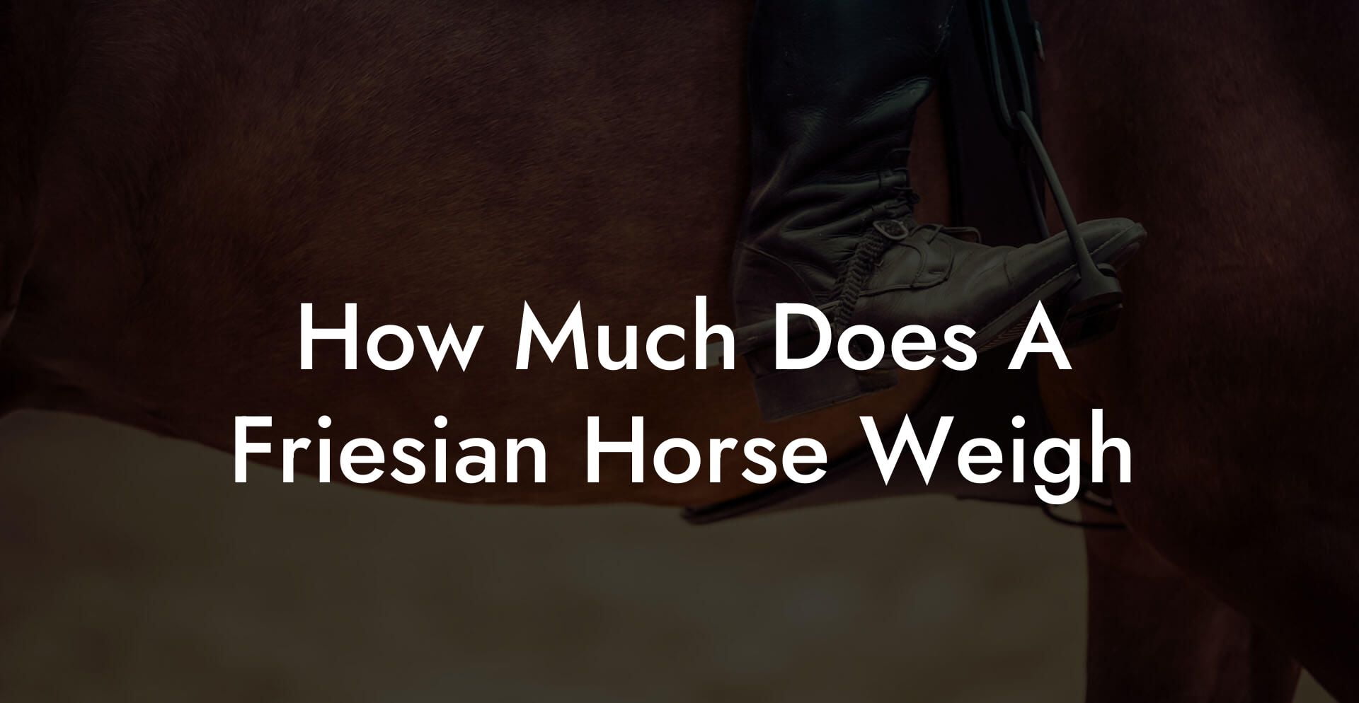 How Much Does A Friesian Horse Weigh