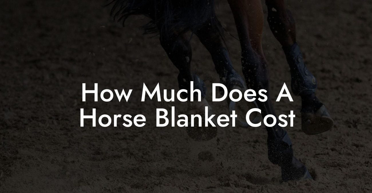 How Much Does A Horse Blanket Cost