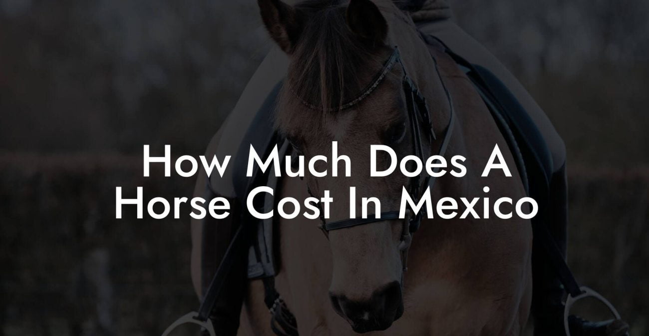 How Much Does A Horse Cost In Mexico