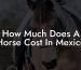 How Much Does A Horse Cost In Mexico