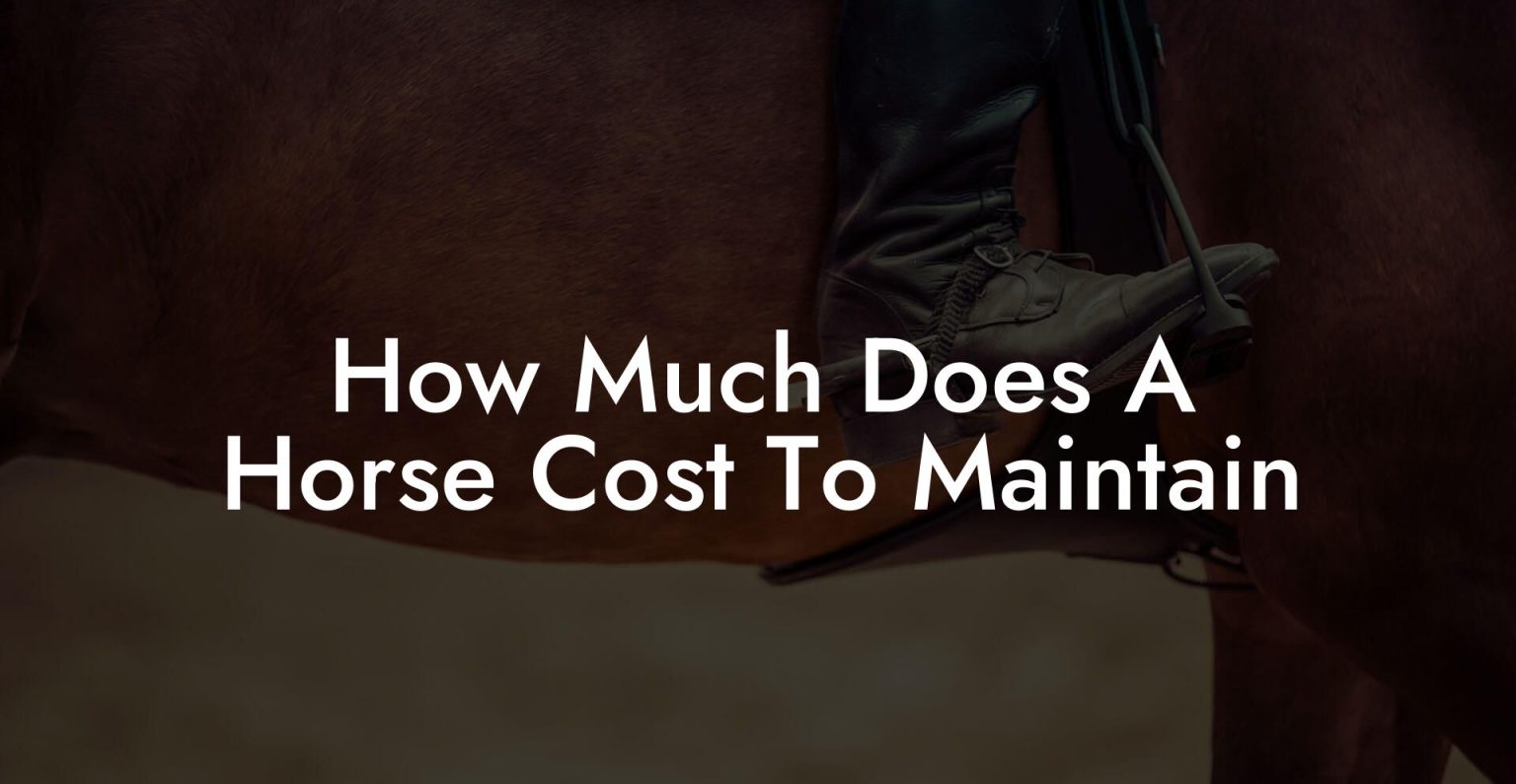 How Much Does A Horse Cost To Maintain How To Own a Horse