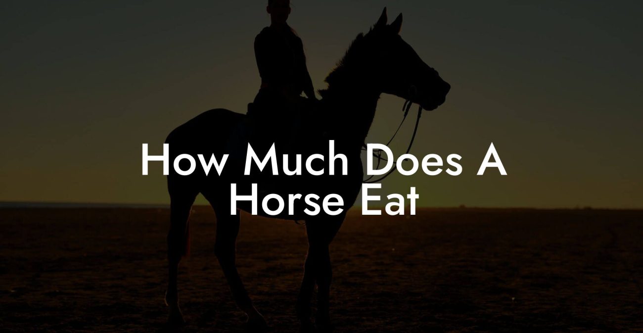 How Much Does A Horse Eat