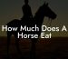 How Much Does A Horse Eat