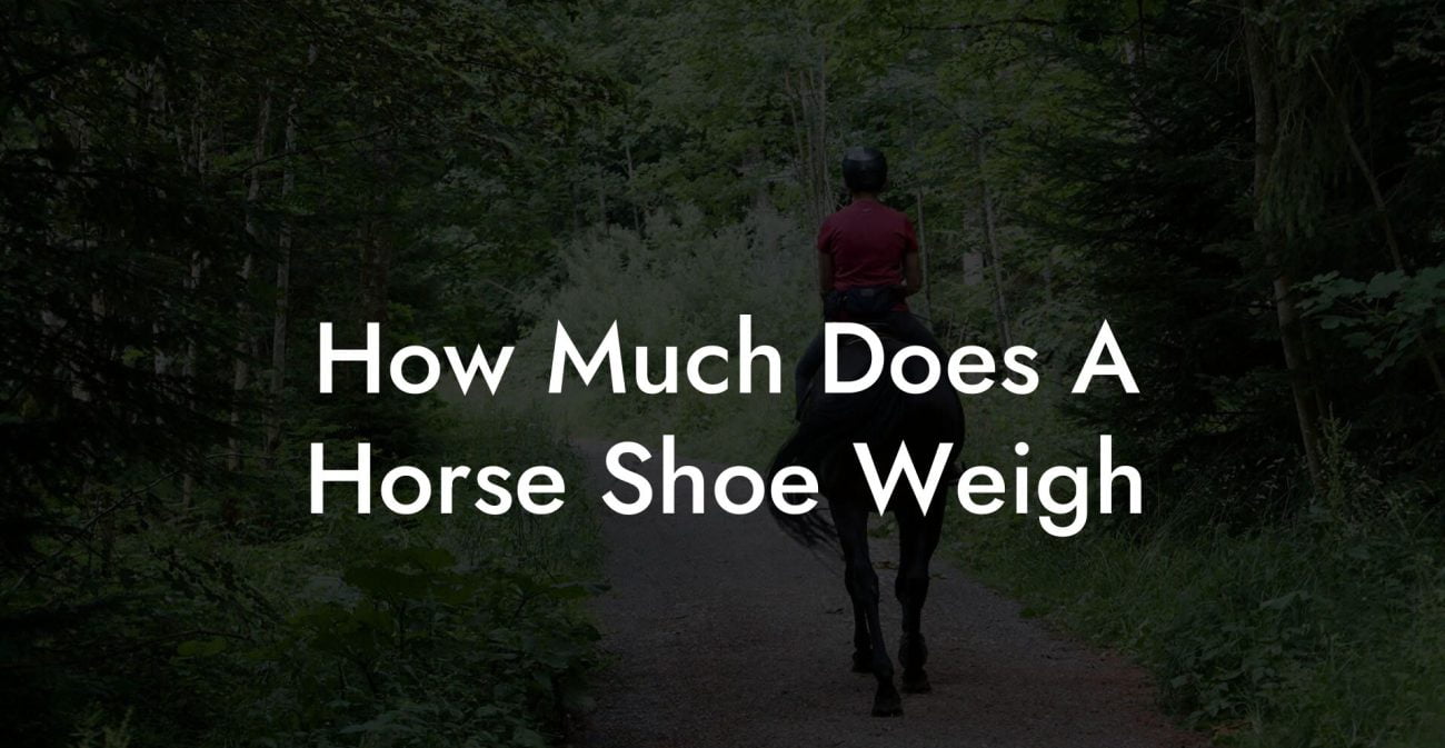 How Much Does A Horse Shoe Weigh