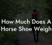 How Much Does A Horse Shoe Weigh