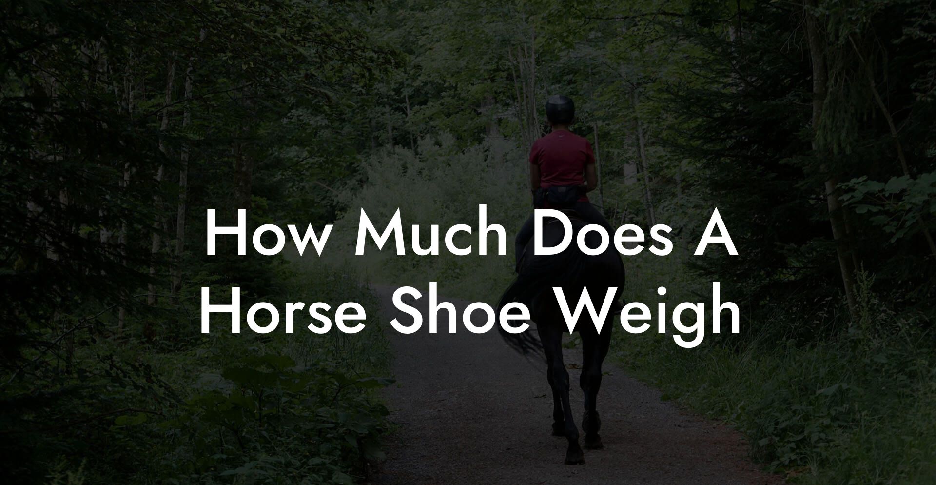 How Much Does A Horse Shoe Weigh