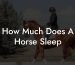 How Much Does A Horse Sleep