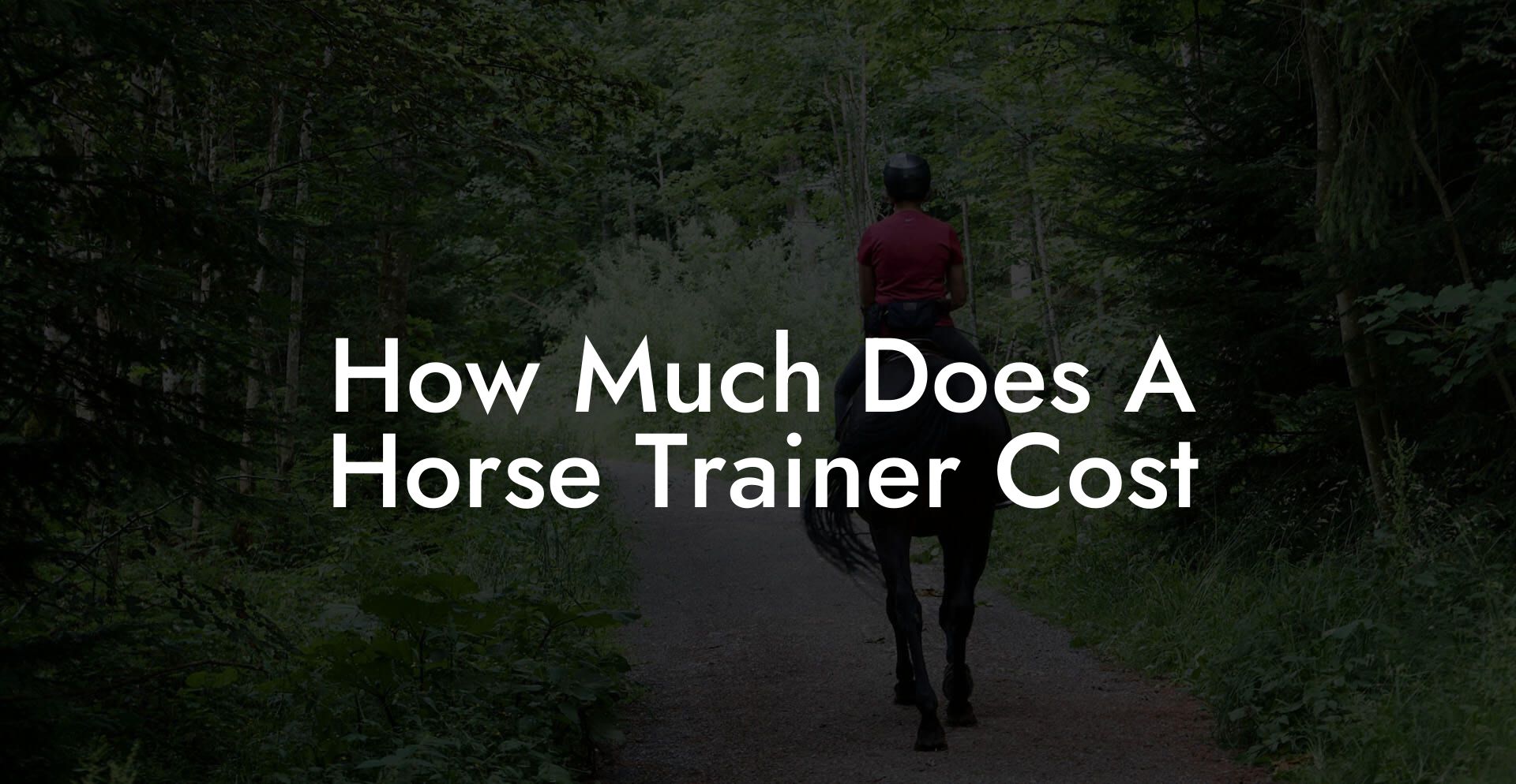 How Much Does A Horse Trainer Cost