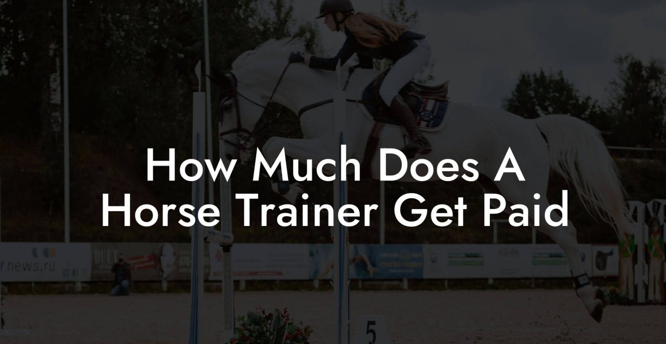 How Much Does A Horse Trainer Get Paid