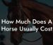 How Much Does A Horse Usually Cost
