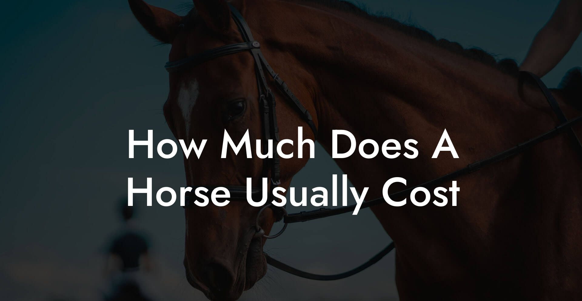 How Much Does A Horse Usually Cost